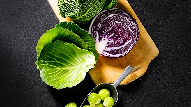 Cabbage Gains Popularity as a Nutritional Trend in 2026
