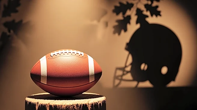 Trump Administration Advocates for Theodore Roosevelt's Induction into Pro Football Hall of Fame