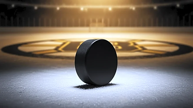 Boston Bruins' Prospect James Hagens Set for NHL Playoff Debut