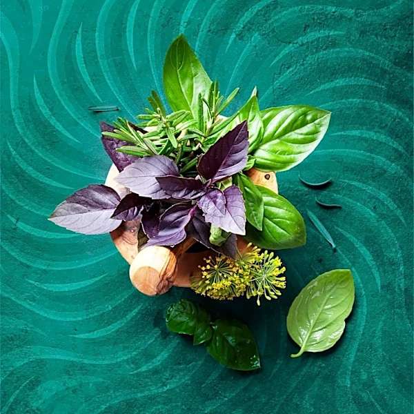 Carmen Perr Promotes Home-Grown Herbs for Earth Day Cooking