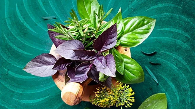 Carmen Perr Promotes Home-Grown Herbs for Earth Day Cooking