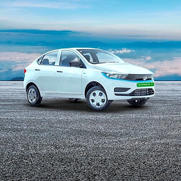 Consumer Reports Advises on Preventing Rodent Damage in Vehicles