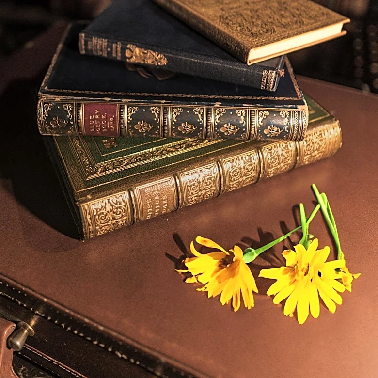 Underground Books Hosts Event with Historian Tony Browder in Sacramento