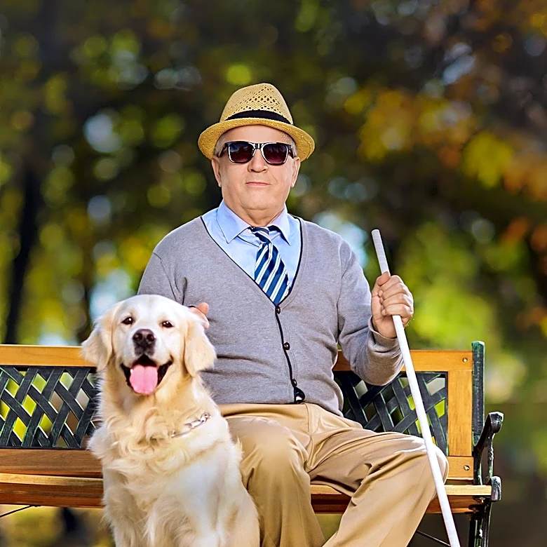 Guide Dogs of America Hosts 'Illuminations: Dinner in the Dark' Fundraiser