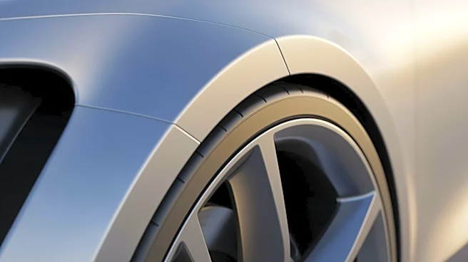 Porsche Panamericana Concept's Unique Wheel Arches Designed for Practicality