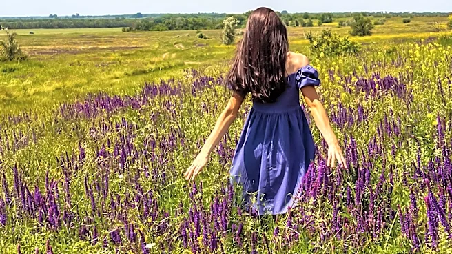 Study Highlights Nature's Role in Reducing Loneliness Through Connection and Place Attachment