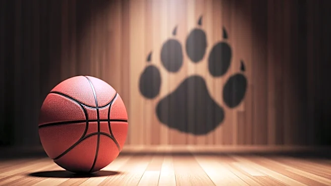 Arizona Wildcats Eye Former UCLA Player Devin Williams for Transfer