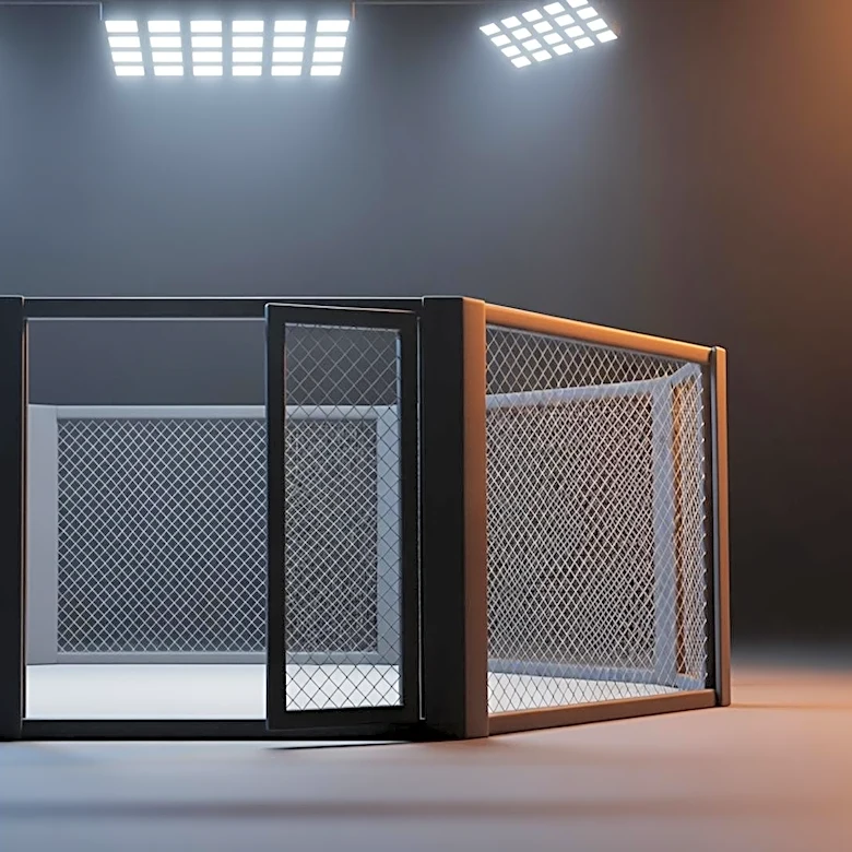 Dana White Optimistic About Conor McGregor's UFC Return Amid Ongoing Negotiations