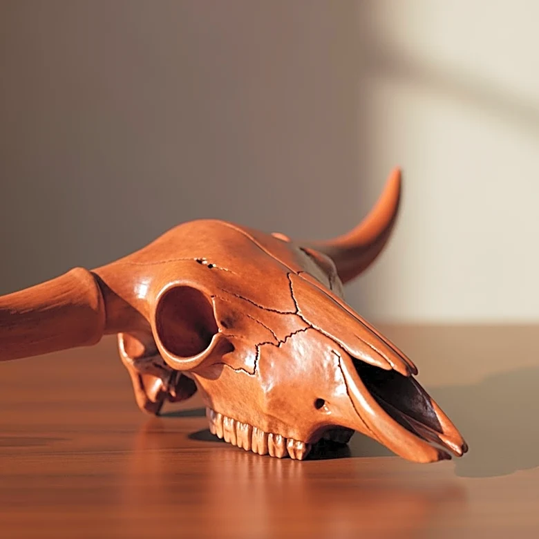 Texas Longhorns Secure Elyjah Freeman from Auburn in Transfer Portal Move