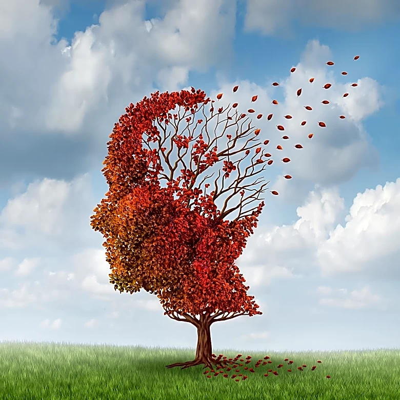 Study Finds Loneliness May Affect Memory in Older Adults Without Accelerating Cognitive Decline