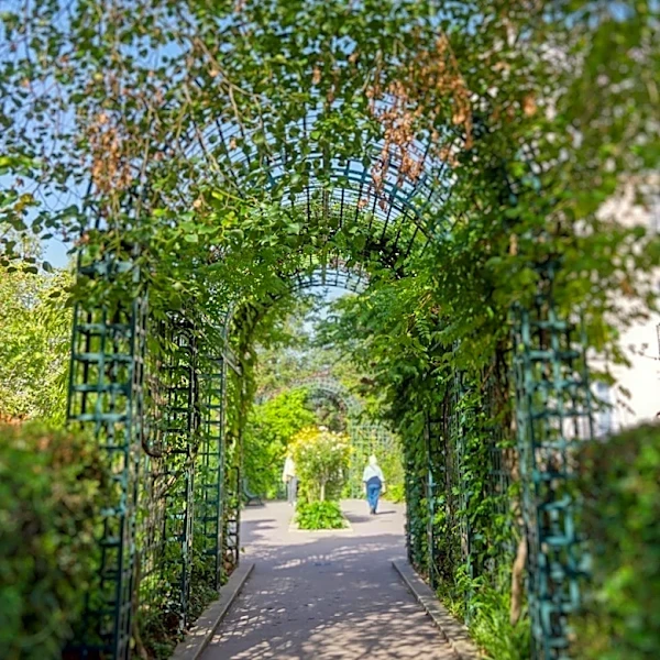 Park Winters Offers Unique Botanical Experience in Yolo County