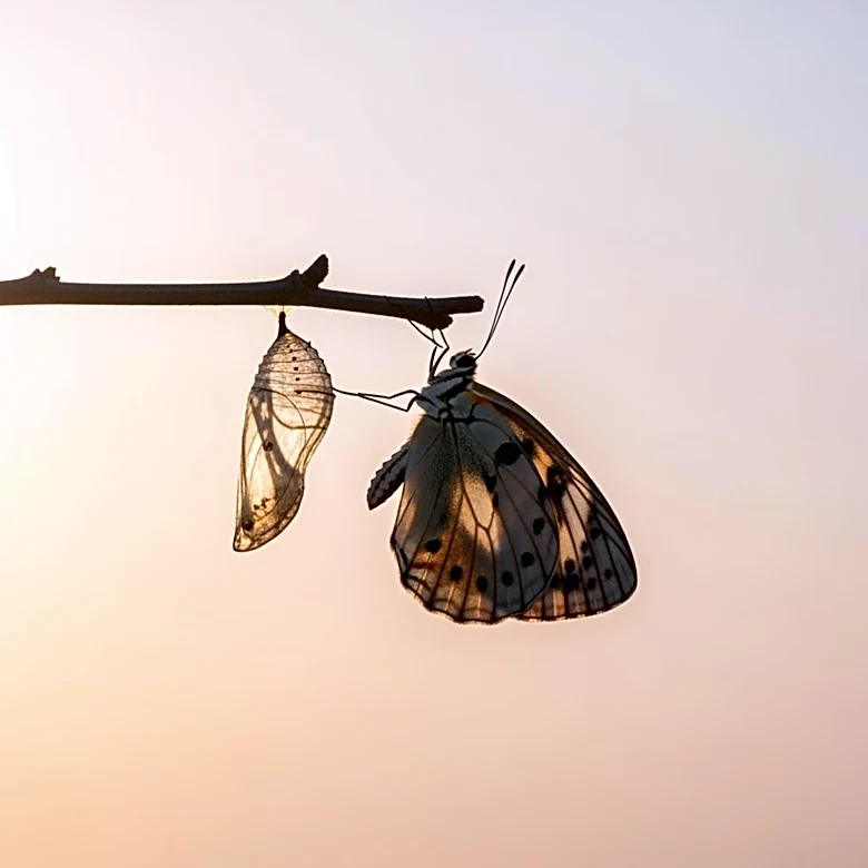 Mindy Cohn Reveals Second Battle with Cancer, Shares Recovery Journey