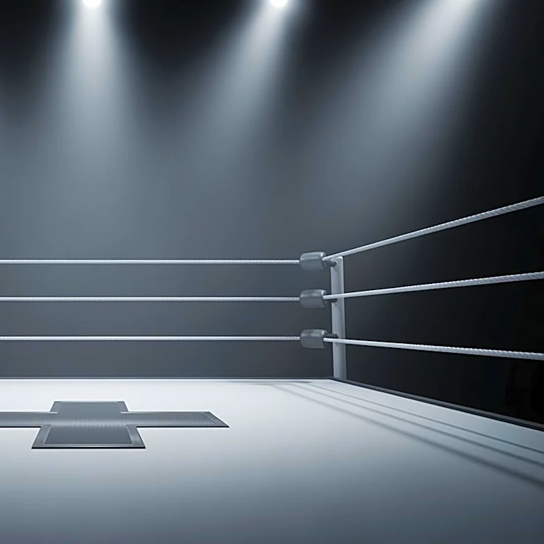 Nikki Bella's Surgery Facilitates Paige's Return to WWE