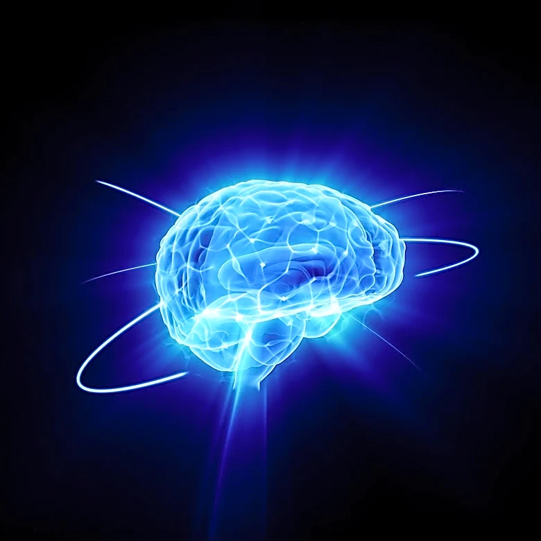 Neuroscientist Explores Training the Brain to Embrace Uncertainty