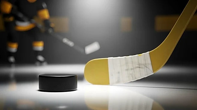 David Pastrnak Scores Power-Play Goal for Boston Bruins