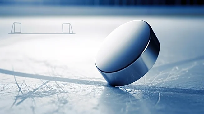 Artturi Lehkonen Scores Opening Goal for Colorado Avalanche