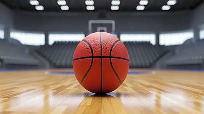 Kentucky Wildcats Secure Transfer Alex Wilkins from Furman University