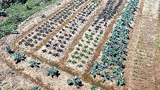 Agrobiodiversity Emerges as Key Trend in Regenerative Tourism