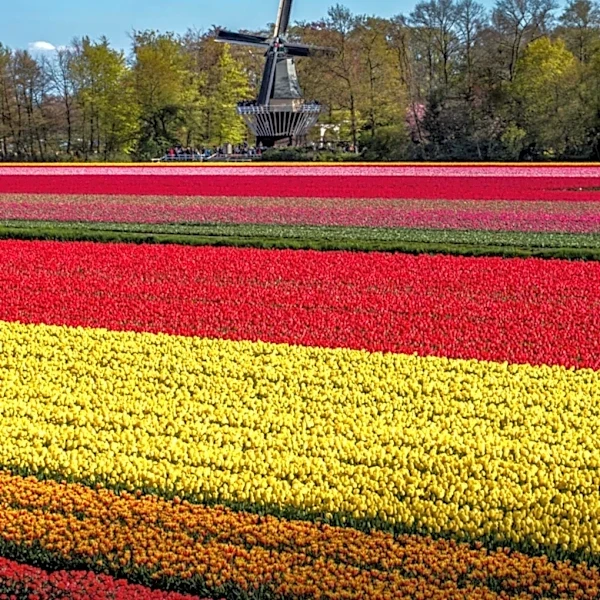 Holland Ice Park Hosts Activities for Tulip Time Festival 2026
