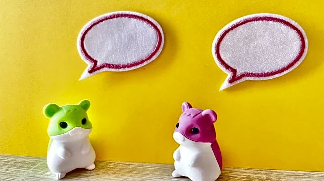 Hamster Cage Selection: Ensuring Safety and Comfort for Pet Owners