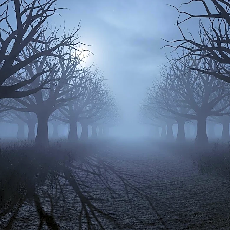 MGM+ Announces Renewal of 'From' for Fifth and Final Season