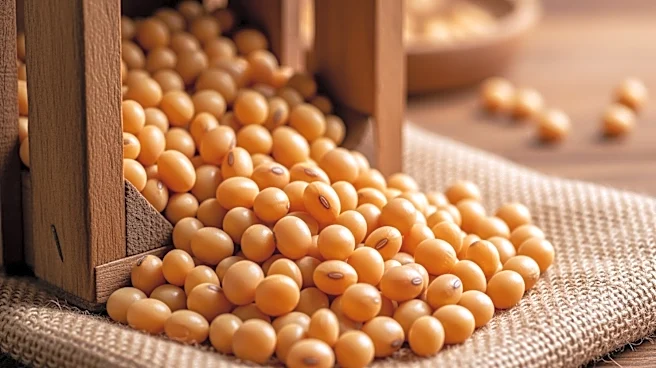 USDA Allocates $14 Million to Boost U.S. Soy Exports
