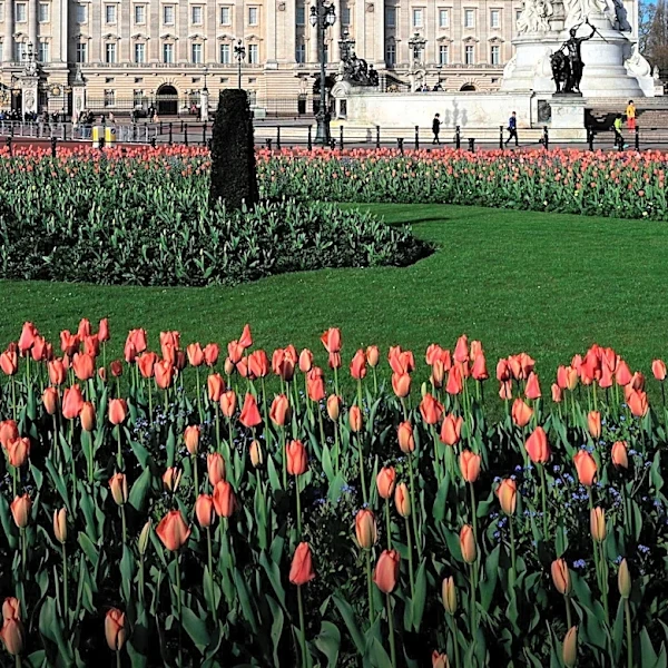 Queen Elizabeth II's Fashion Legacy Explored in Buckingham Palace Exhibition