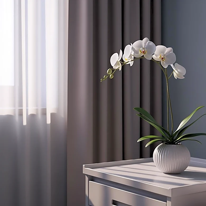 Christina Applegate Addresses Health Focus Amid Hospitalization Reports