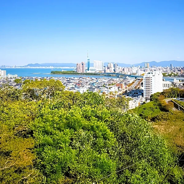 Signal Hill: A Walkable California City with Scenic and Cultural Attractions