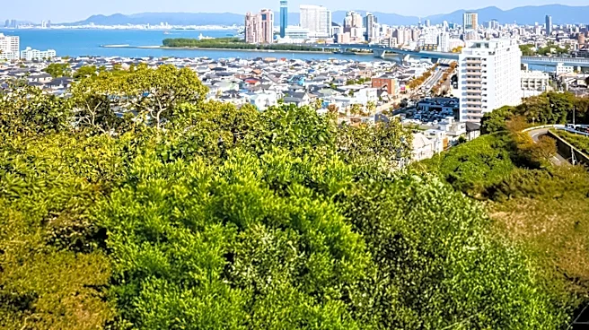 Signal Hill: A Walkable California City with Scenic and Cultural Attractions