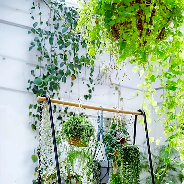 Creative Small Garden Ideas for Urban Dwellers