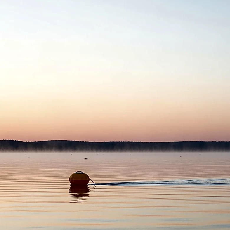 Fitness Influencer Mara Flavia Souza Araujo Drowns During Ironman Texas Event