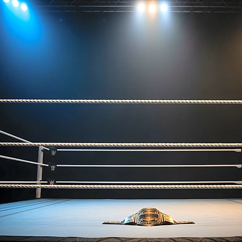 WWE Sets Up Future Match Between Cody Rhodes and CM Punk Following WrestleMania 42