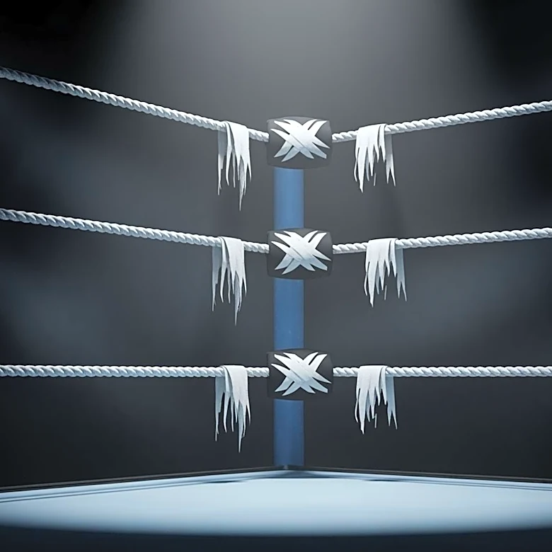 Paul Heyman Addresses Brock Lesnar Retirement Speculation Amid WWE Uncertainty