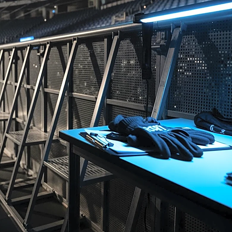 CM Punk's Confrontation with Fan Highlights Security Concerns at WWE Event