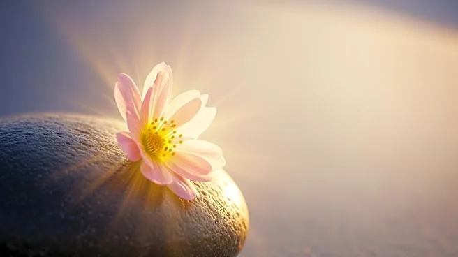 A$AP Rocky Praises Rihanna's Transformation After Motherhood