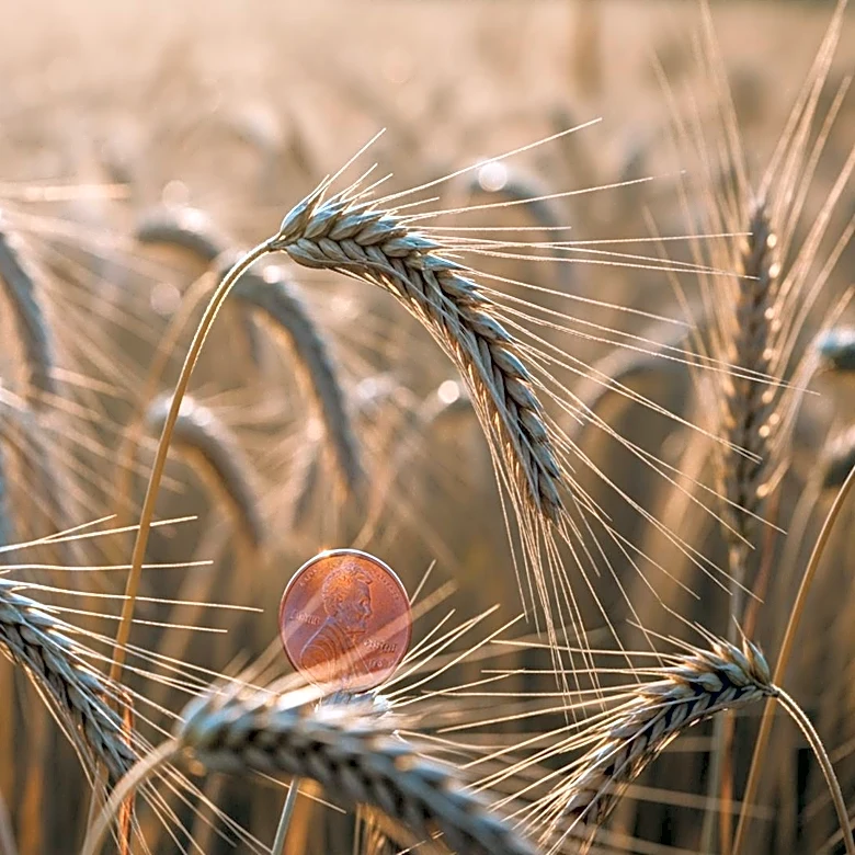 MarketBeat Highlights Top Agriculture Stocks Amid Global Food Demand