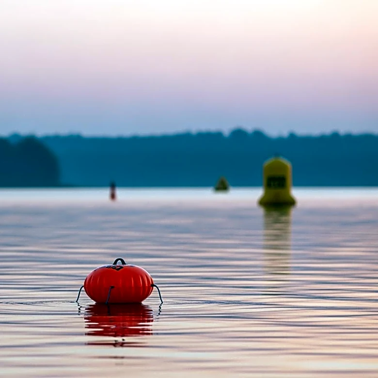 Fitness Influencer Mara Flavia Souza Araujo Drowns During Ironman Triathlon in Texas