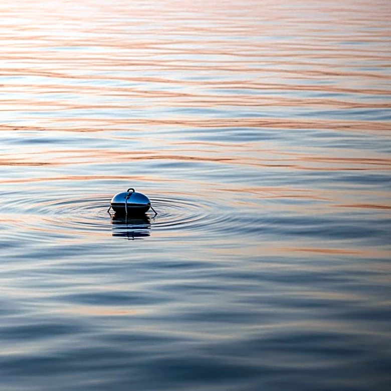 Fitness Influencer Mara Flavia Souza Araujo Drowns During Ironman Texas