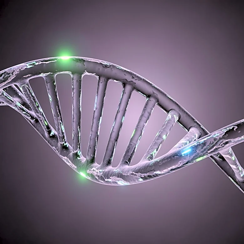 Flagship Pioneering Launches Serif Biomedicines to Develop Modified DNA Therapies