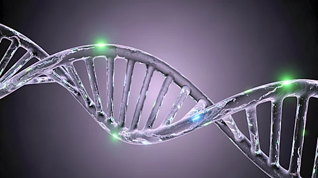 Flagship Pioneering Launches Serif Biomedicines to Develop Modified DNA Therapies