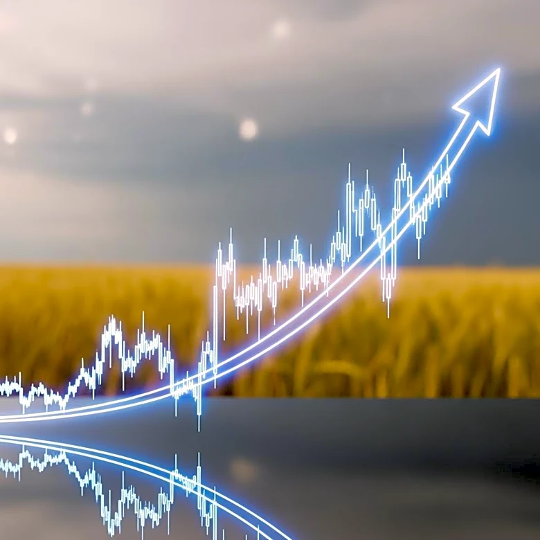 Oil Price Drop and Stock Market Rally Amid Weather Risks in Farm Markets