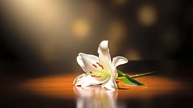 Barbara Eden Pays Tribute to Patrick Muldoon Following His Death