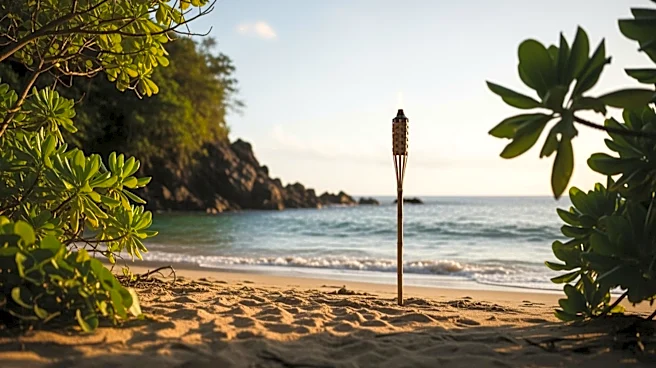 Jeff Probst Joins 'Survivor' Competition for the First Time, Inspired by Jimmy Fallon