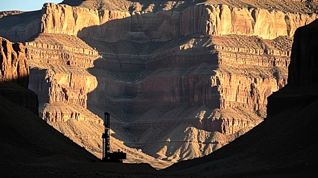 Black Canyon Advances Wandanya Project with Significant Drilling Plans