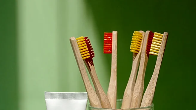 Fluoride Toothpastes Recommended by Dentists for Oral Health