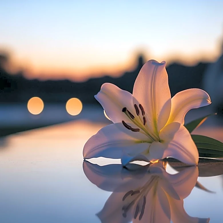 Denise Richards Pays Tribute to Late Friend Patrick Muldoon Following His Passing