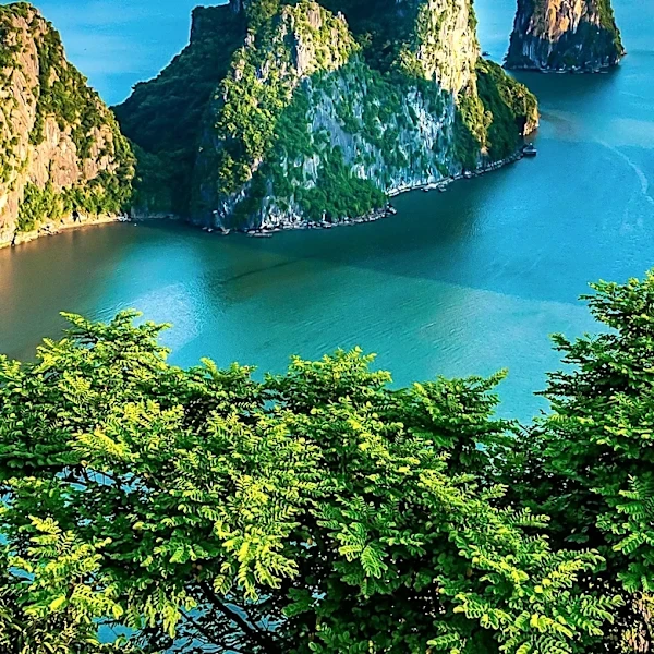 Heavens Portfolio Australia Hosts Travel Advisors on Vietnam Famil Tour