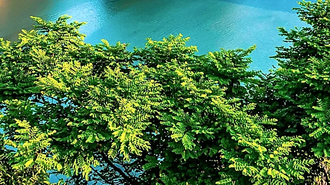 Heavens Portfolio Australia Hosts Travel Advisors on Vietnam Famil Tour