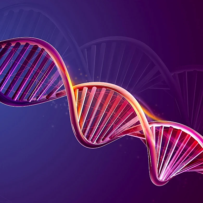 X Chromosome's Role in Health and Disease Unveiled, Highlighting Gender Differences